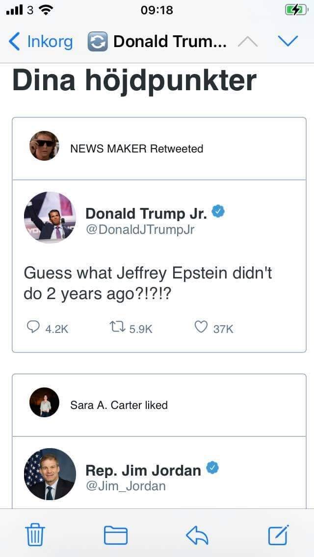 Vad Epstein Inte Gjorde