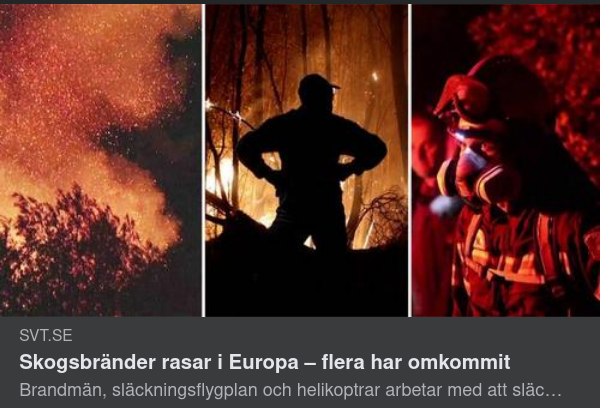 Pandemiskt Brinnande Skogar