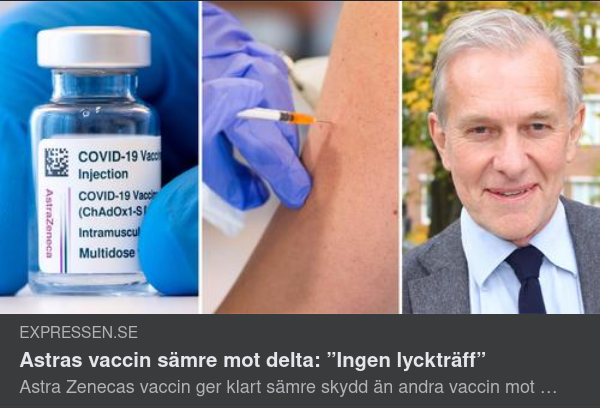 Sämre Dumskalleskydd