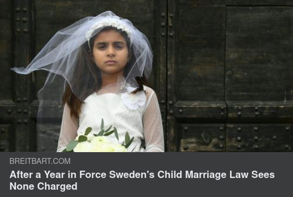 ...Det Svenska Rättssystemet