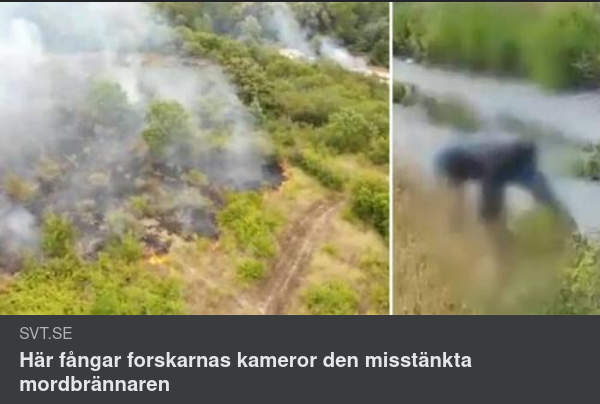 Filmad Mordbrännare I SVT