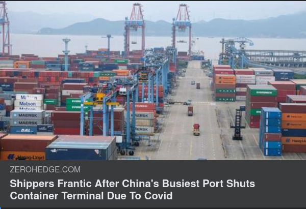 Covidstängd Kinesisk Containerterminal