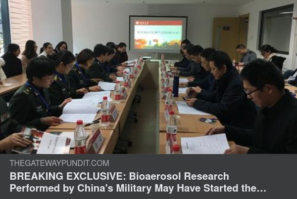 Kinesisk Forskning & Pandemistart