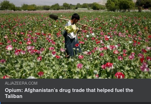 Talibaner & Opium