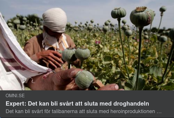 Goodhand Om Talibansk Droghandel