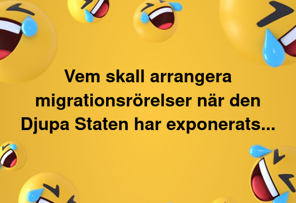 Migrationsrörelsearrangör