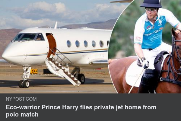 Kunglig Klimathänsyn