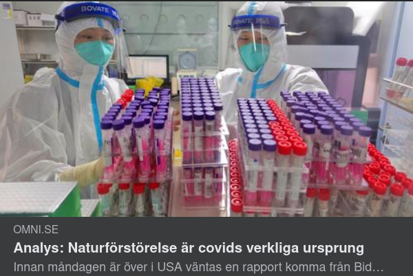 Naturförstörelsevirusursprung