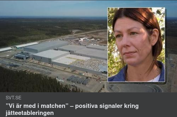 Dumbodil Med I Matchen