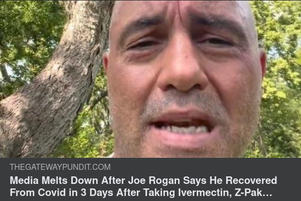 Ivermectinbotad Rogan