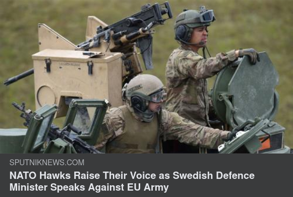 Hultqvist, NATO & EU