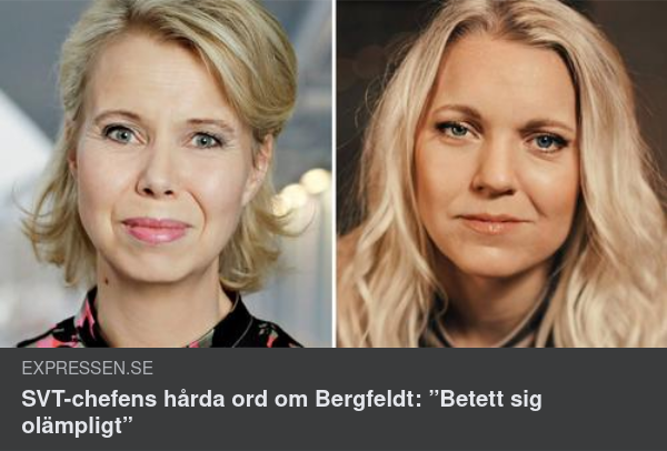 Olämpligt Av Bergfeldt