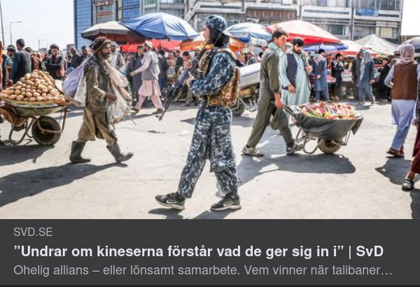 Kinesisk Talibanförståelseoro I SvD