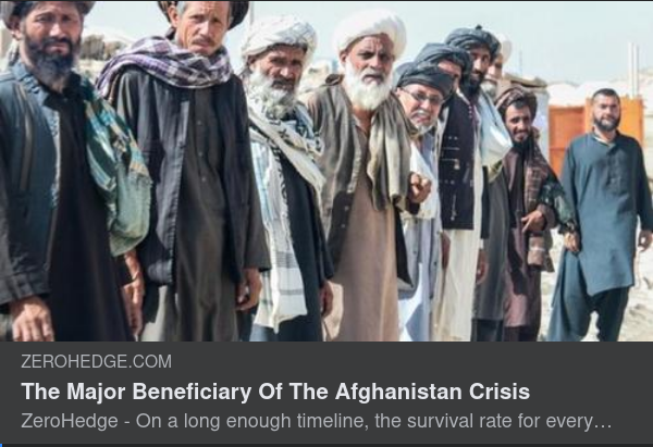 Erdogans Strategiska Väg