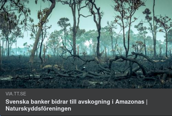 Svenska Banker Bidrar Till Amazonas Avskogning