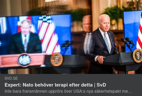Terapibehövande NATO