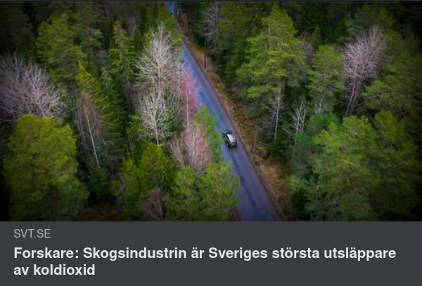 Koldioxidutsläppande Skogsindustri
