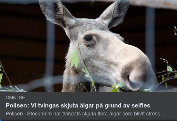 Självisk Älgavlivningsorsak