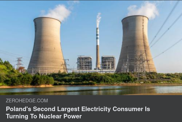 Polsk Kärnkraftskonsument