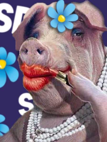 Politisk Grissminkning