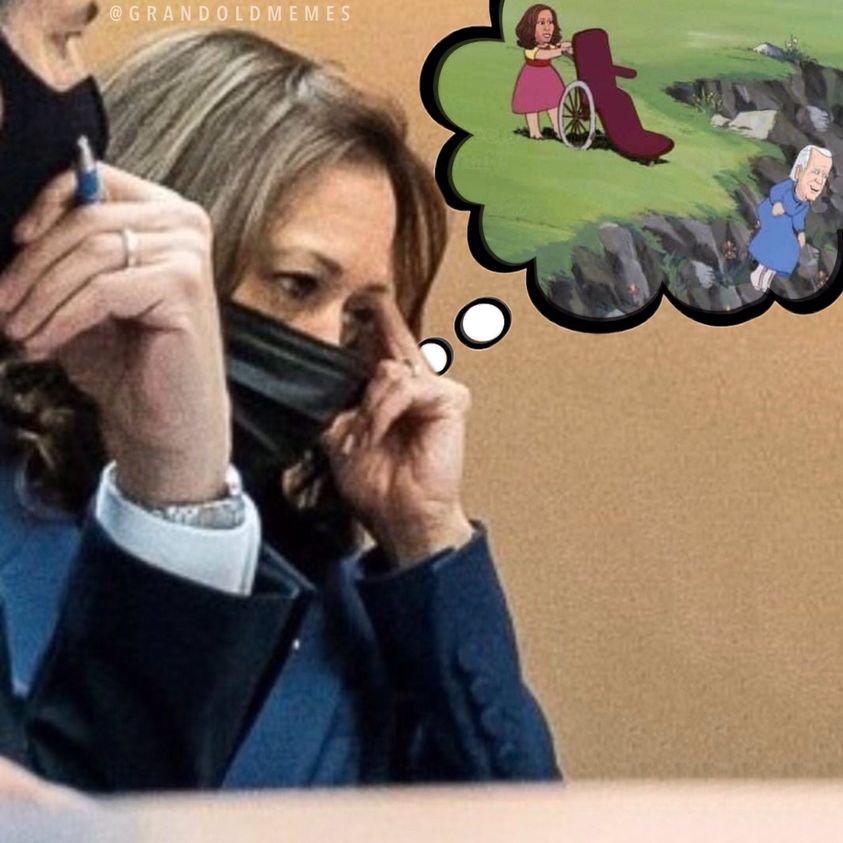 Biden, Harris & 25:e Tillägget