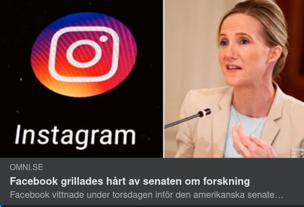 FB:s Affärsmodell I Senaten