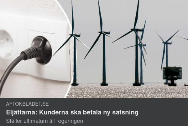 Enskilda Elektriska Vinstmaximeringsintressen