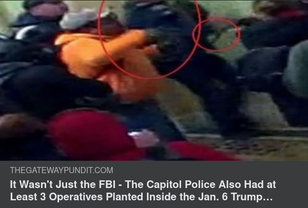 Både FBI & Kapitoliumpolis Planterade På Plats