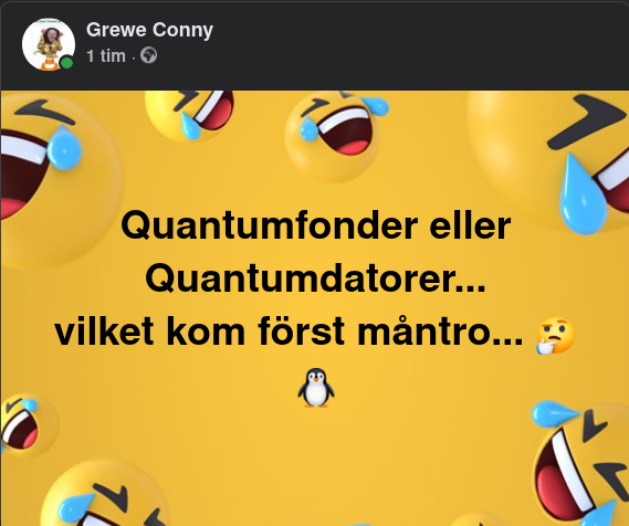 Quantumfonder Eller Quantumdatorer Först