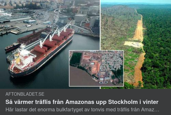 Stockholmskt Värmande Amazonas-Träflis