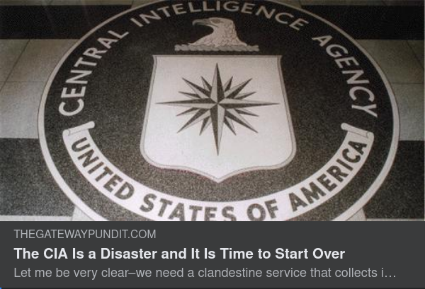 CIA & Dess Spioner(i)