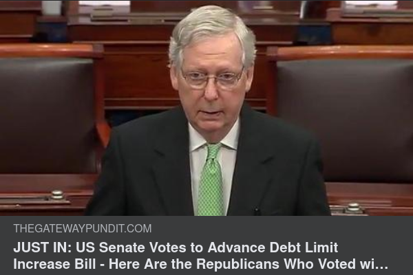 Röstande Demokrater