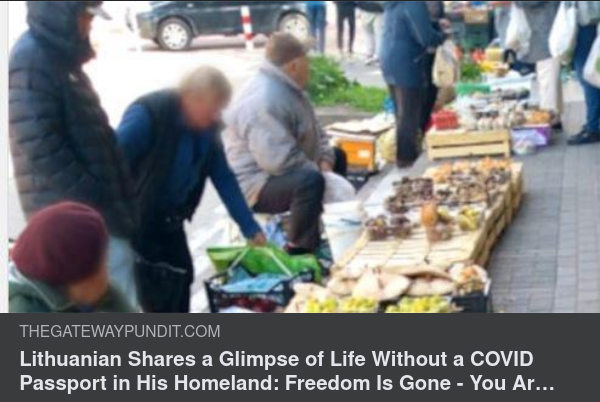 Utan Covidpass I Litauen