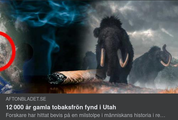 Gamla Tobaksfrön I Utah
