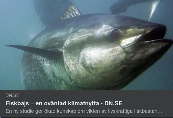 Klimatnyttigt Fiskbajs