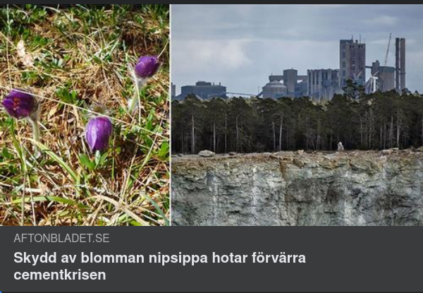 Nipsippan & Cementkrisen