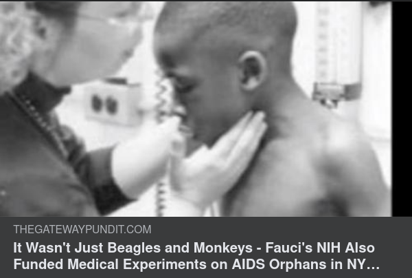 Inte Bara Beaglar & Apor