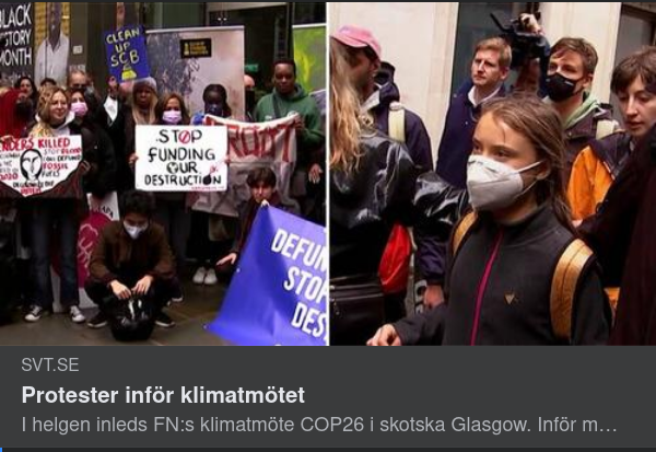 Klimatmötesprotester