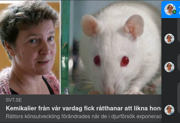 Kemisk Könsutvecklingspåverkan