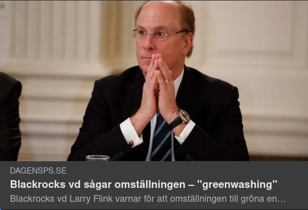 Greenwashing Enligt Blackrocks Flink