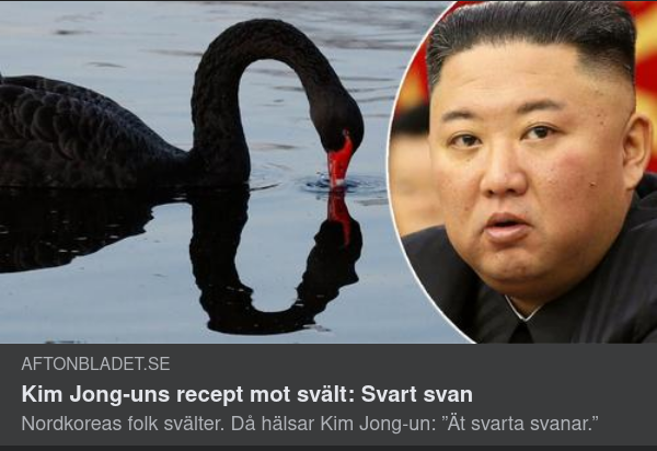Kim Jong-un & Svarta Svanar