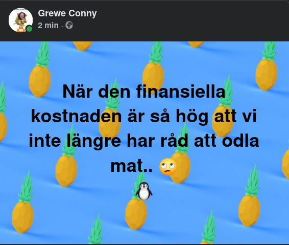 Ofinansierbar Matproduktion