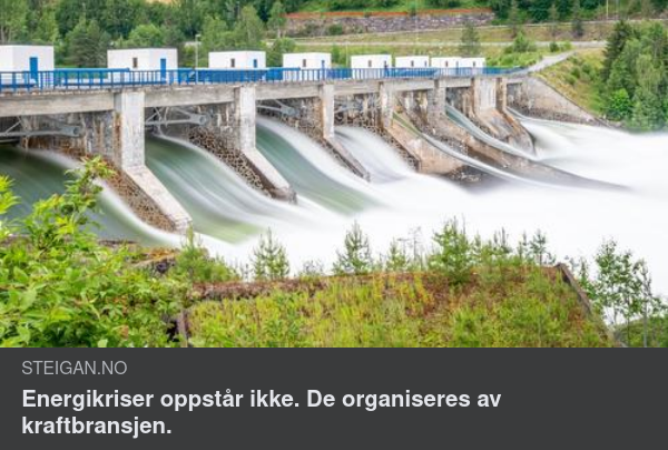 Energikrisorganiserande Kraftproduceringsbransch