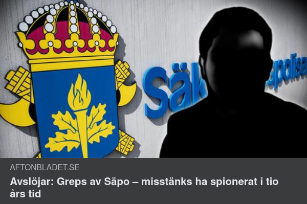 Långtidsspionering
