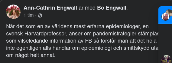 Det Handlar Om Någonting Annat