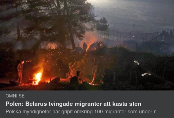 Seriös Migrantaffär