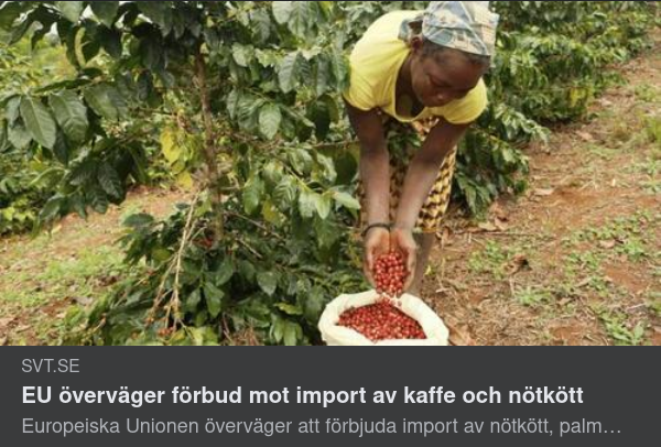 Avskogningshindrande Importförbud