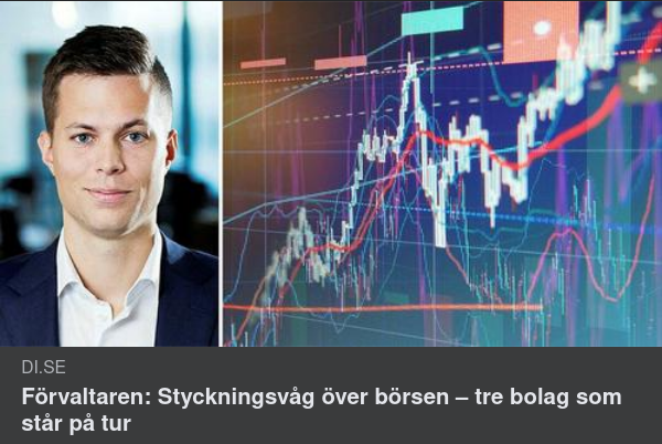 Bolagsstyckningar & Särnoteringar