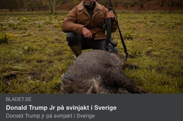 Bladet.se Om Juniors Svenska Svinjakt