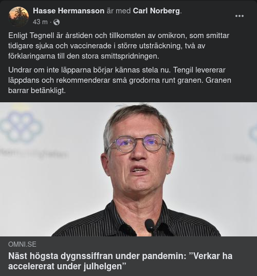 Tegnell Läppdansar Runt Betänkligt Barrande Gran